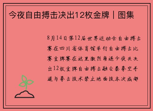 今夜自由搏击决出12枚金牌｜图集